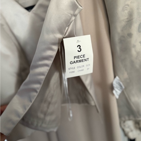 Chic Champagne Blazer and Pants Set - Picture 3 of 6